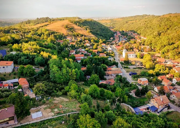 Stammhaus In Den Bergen Ledinci